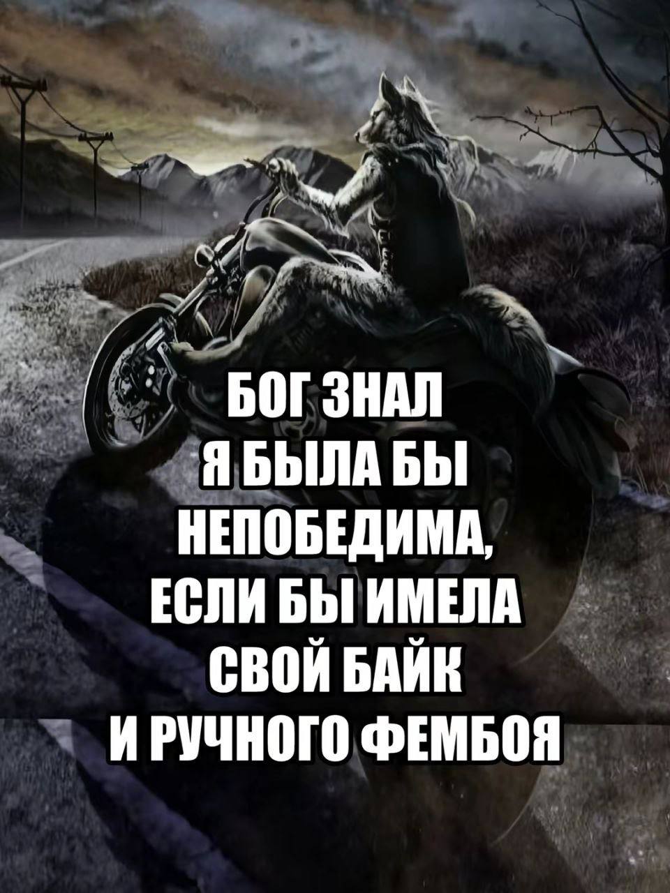 БОГ ЗНАЛ Я БЫЛА БЫ НЕПОБЕДИМА Мем с волком-байкером и надписью «БОГ ЗНАЛ Я БЫЛА БЫ НЕПОБЕДИМА, ЕСЛИ БЫ ИМЕЛА СВОЙ БАЙК И РУЧНОГО ФЕМБОЯ»