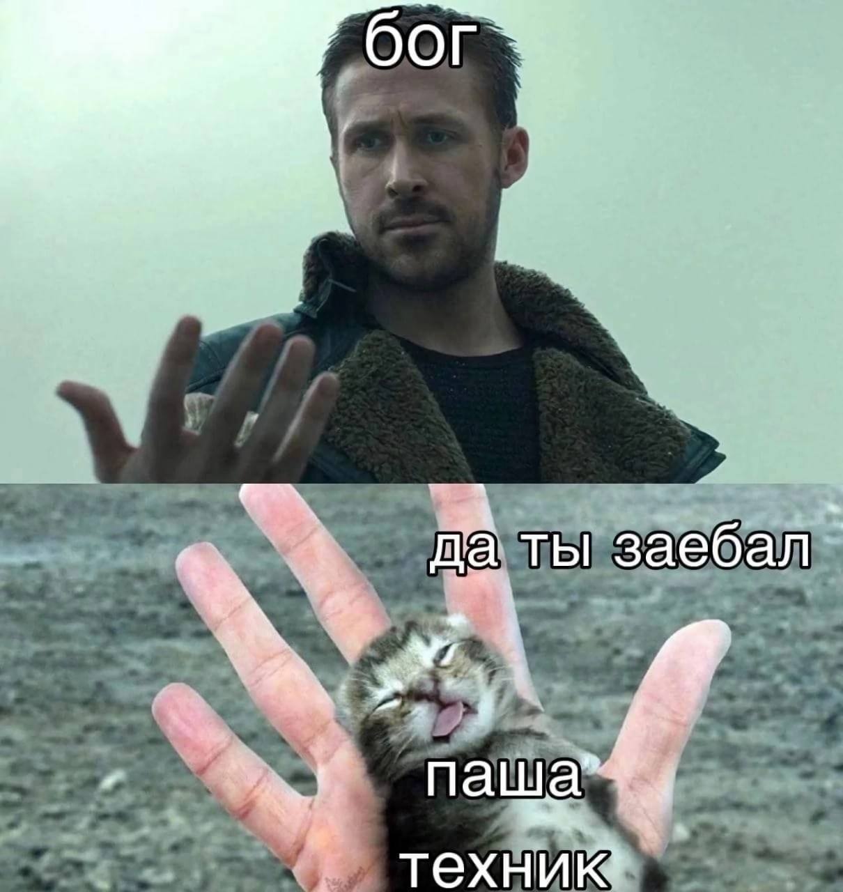 Бог и Паша Техник Мем с богом, который смотрит на Райана Гослинга, а тот держит на ладони недовольного котенка с подписями «бог», «да ты заебал», «паша», «техник»