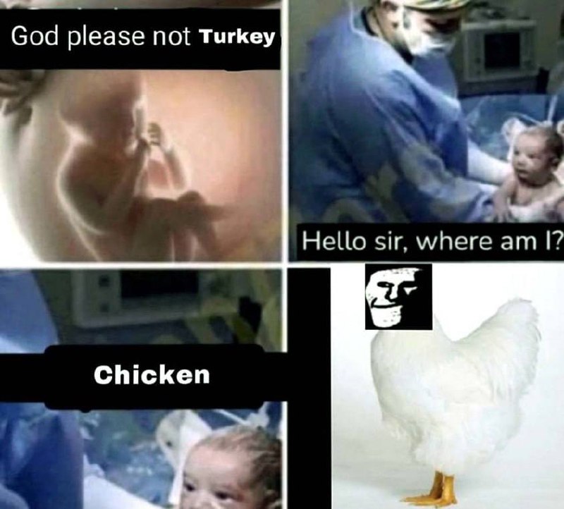 Мем God please not Turkey Мем про новорожденного, который не хочет быть индейкой, а затем становится курицей, с троллфейсом