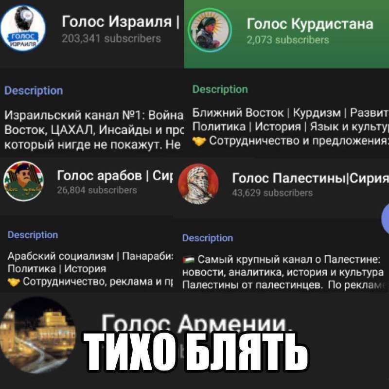Голос Армении. Тихо блять На изображении показаны скриншоты четырех каналов «Голос Израиля», «Голос Курдистана», «Голос Арабов» и «Голос Палестины» с описанием их тематики, а снизу надпись «Голос Армении. Тихо блять».