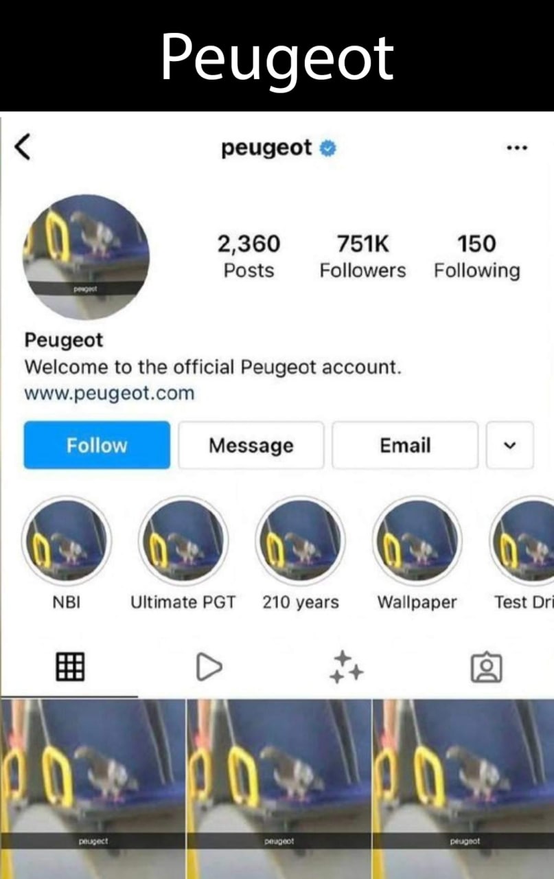Голубь Peugeot Прикол с названием французского автоконцерна Peugeot и голубем в общественном транспорте.