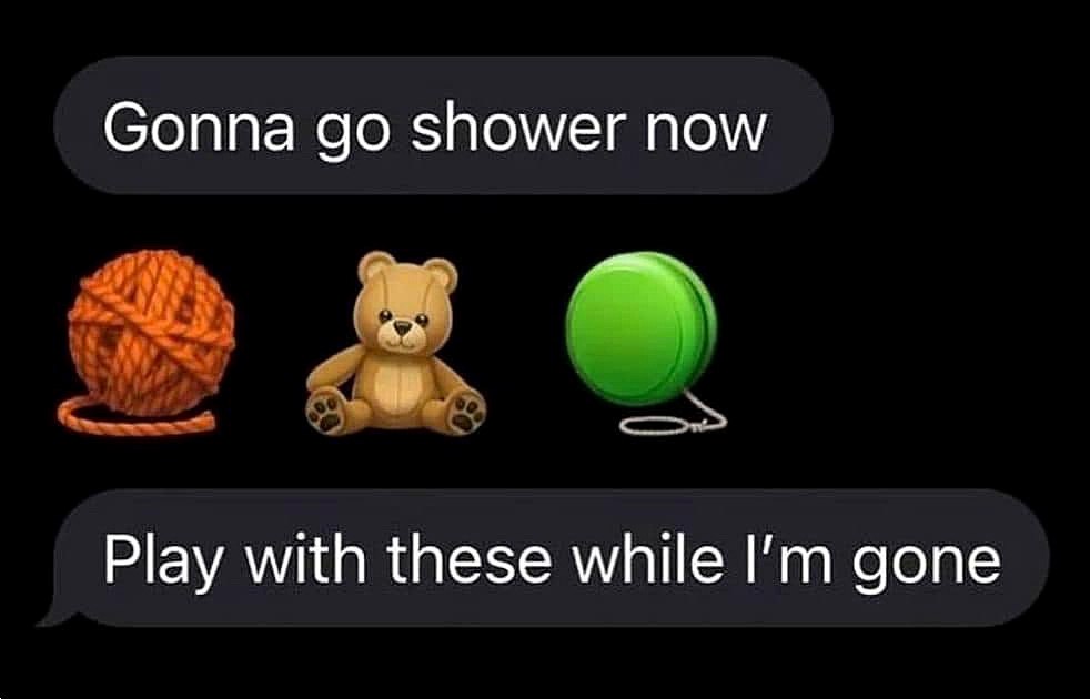 Gonna go shower now Скриншот сообщения в мессенджере с фразой "Gonna go shower now" и эмодзи мотка пряжи, медвежонка и йо-йо, а также фразой "Play with these while I'm gone".