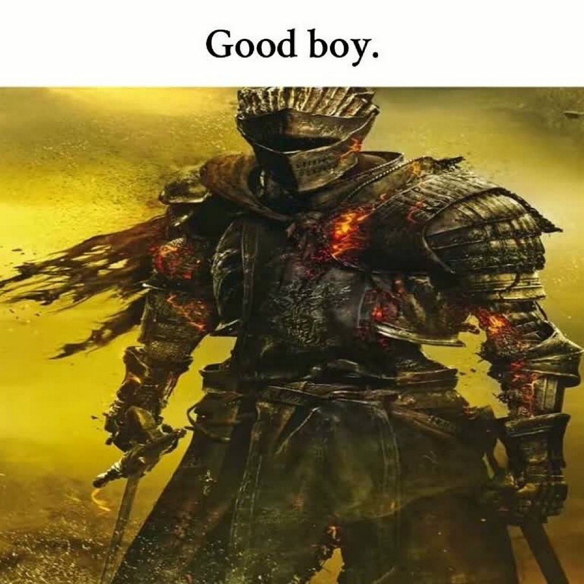 Good boy Dark Souls 3 Рыцарь из Dark Souls 3 с надписью "Good boy"