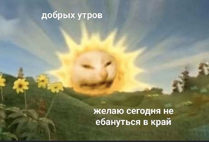 Добрых утреров Мем "Добрых утреров" с солнцем-котом из телепузиков