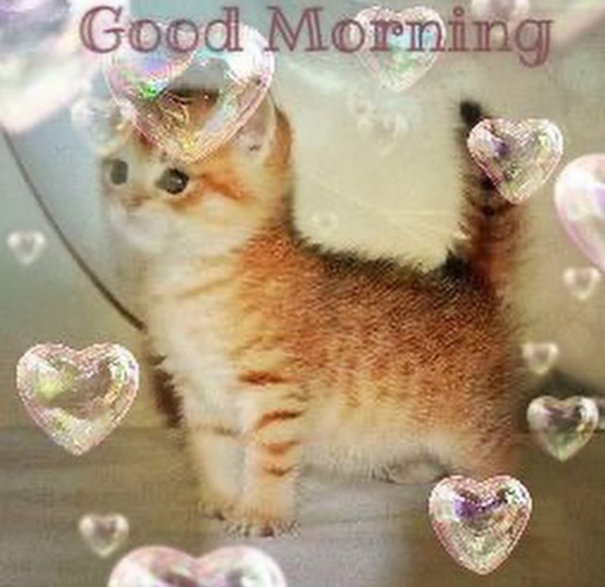 Good Morning котенок Милый рыжий котенок и надпись Good Morning.