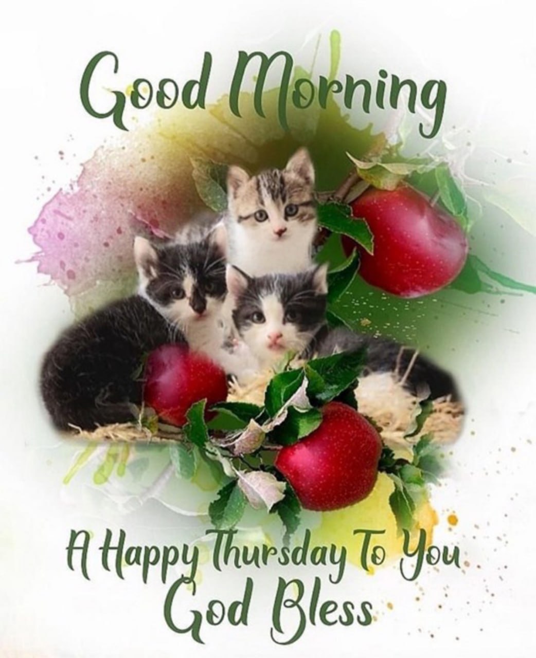 Good Morning котята Котята и яблоки с надписью Good Morning, A Happy Thursday To You, God Bless