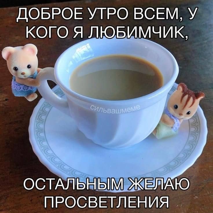 Милое утреннее пожелание с чашкой кофе: любимчикам — доброе утро, а остальным — просветления.
