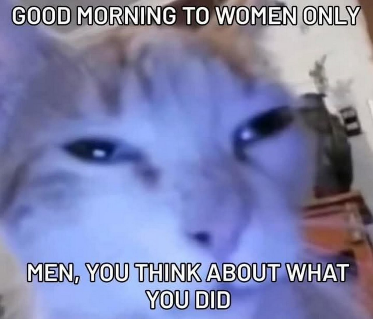 Good morning to women only Мем с котом "Good morning to women only"