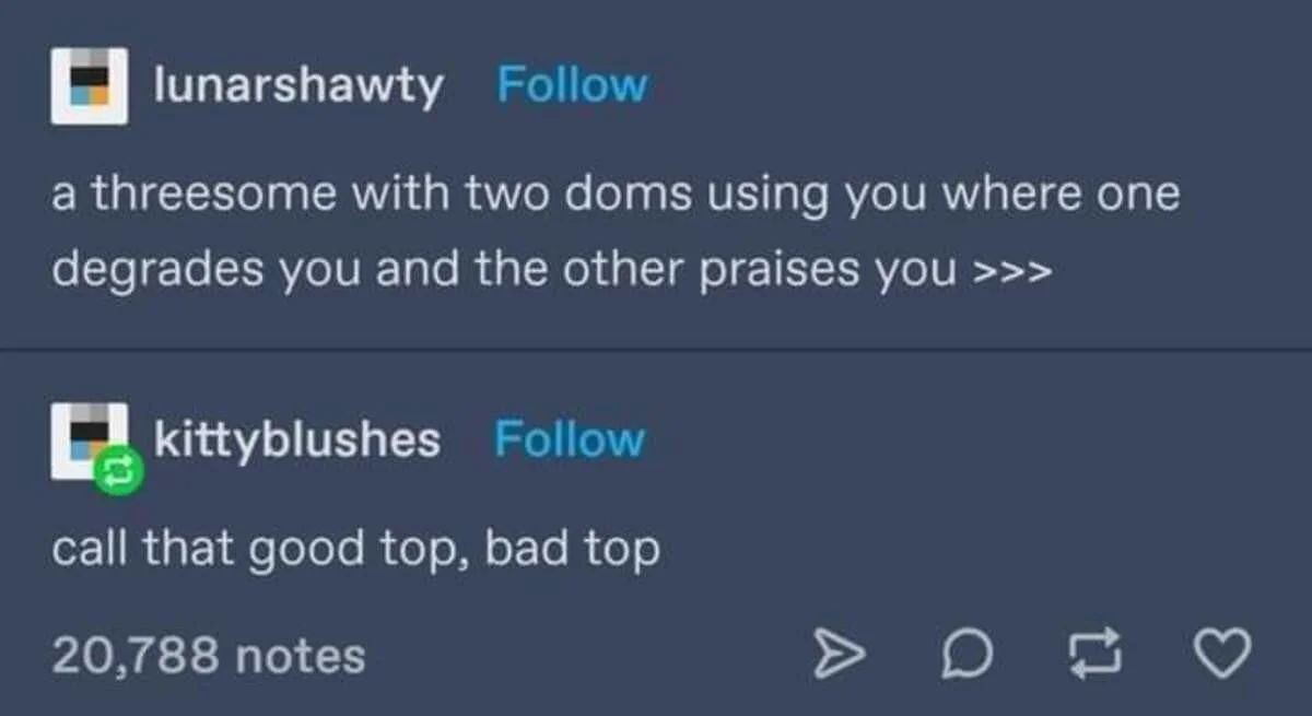 Хороший топ, плохой топ Мем, где пользователь Tumblr lunarshawty описывает сценарий с двумя доминантами, а kittyblushes называет это "хорошим топом, плохим топом".