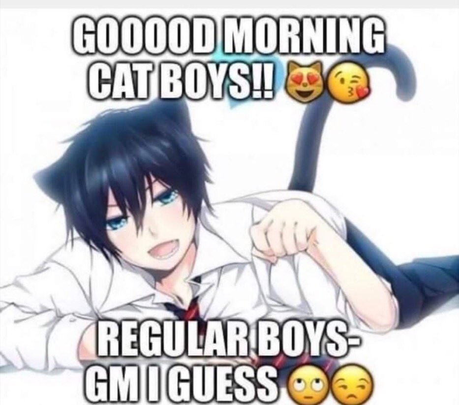 Goooood morning cat boys Аниме-мальчик с кошачьими ушками и хвостом лежит, улыбаясь, с надписью «Доброе утро, котики!! Обычные мальчики — доброе утро, наверное».