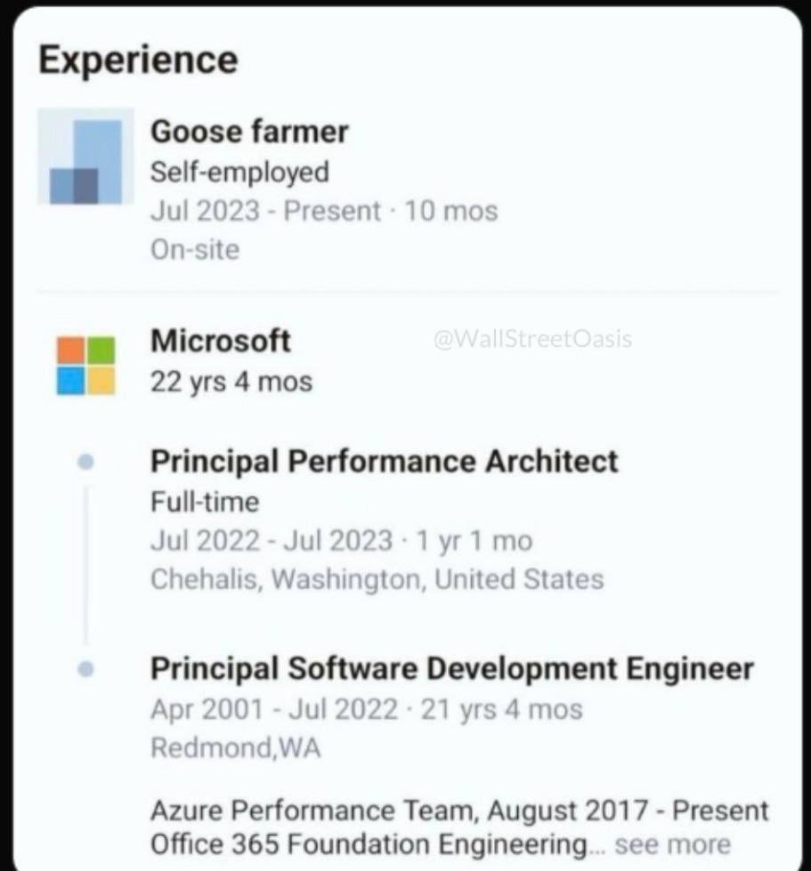 Гусиный фермер после Microsoft Скриншот из резюме, где у человека указан опыт работы «Гусиный фермер» после 22 лет работы в Microsoft.