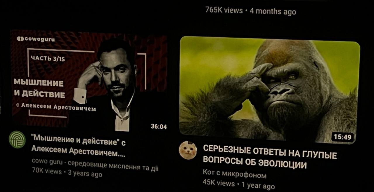 Горилла думает над серьезными вопросами Горилла, задумчиво приложившая палец к виску, на фоне видеоролика про эволюцию