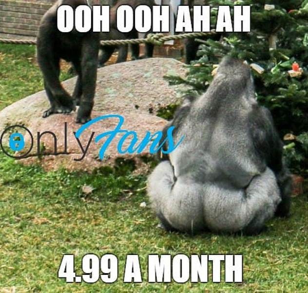 Горилла OnlyFans Горилла, сидящая спиной к зрителю, на фоне логотипа OnlyFans с надписями «Ooh ooh ah ah» и «4.99 a month».