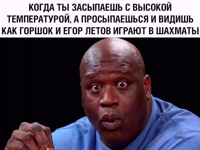 Когда ты засыпаешь с высокой температурой, а просыпаешься и видишь как Горшок и Егор Летов играют в шахматы Удивленный Шакил О'Нил смотрит на Горшка и Егора Летова, играющих в шахматы, после сна с высокой температурой.