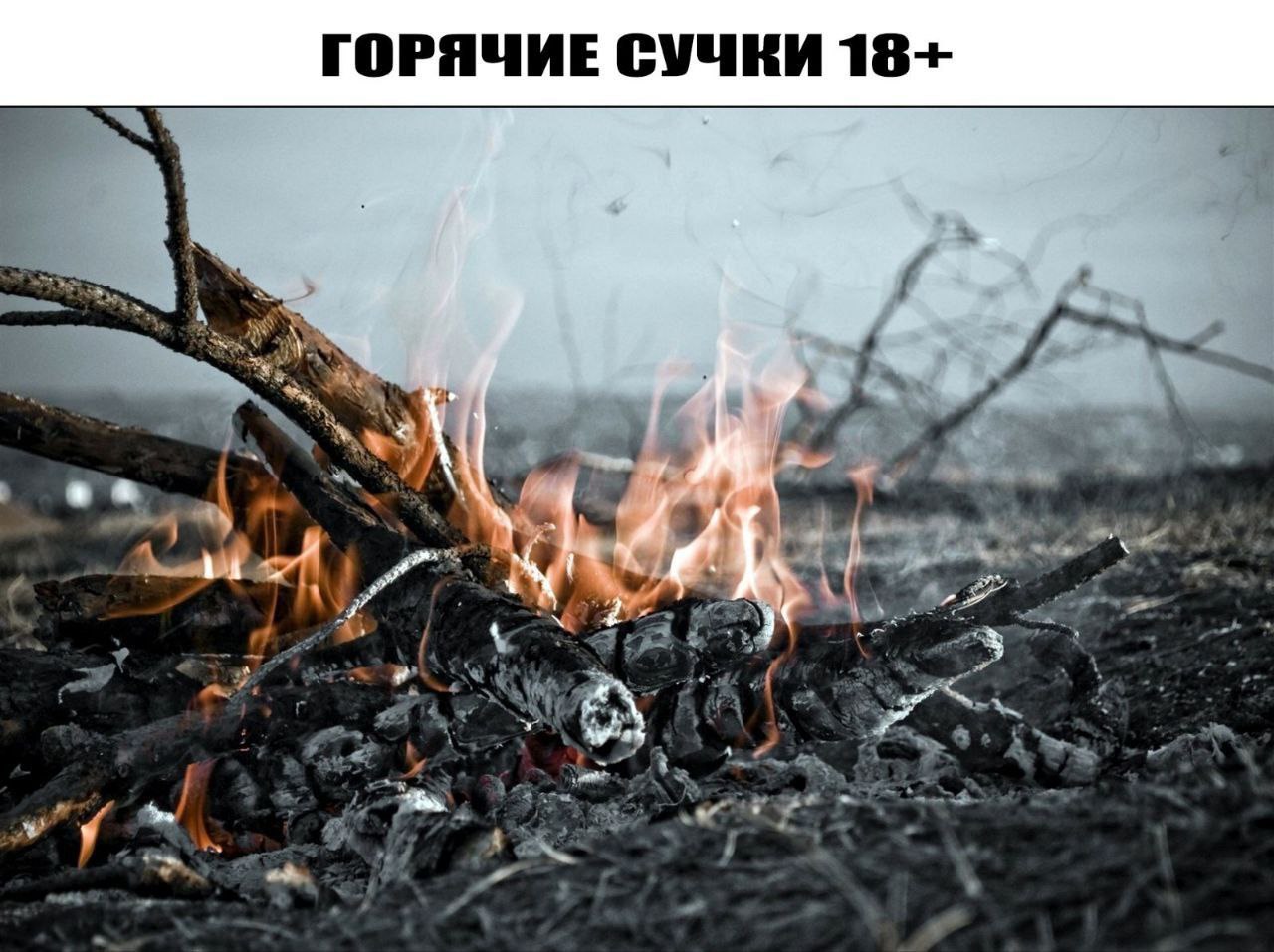 Горячие сучки 18+ Фотография костра с надписью "Горячие сучки 18+"