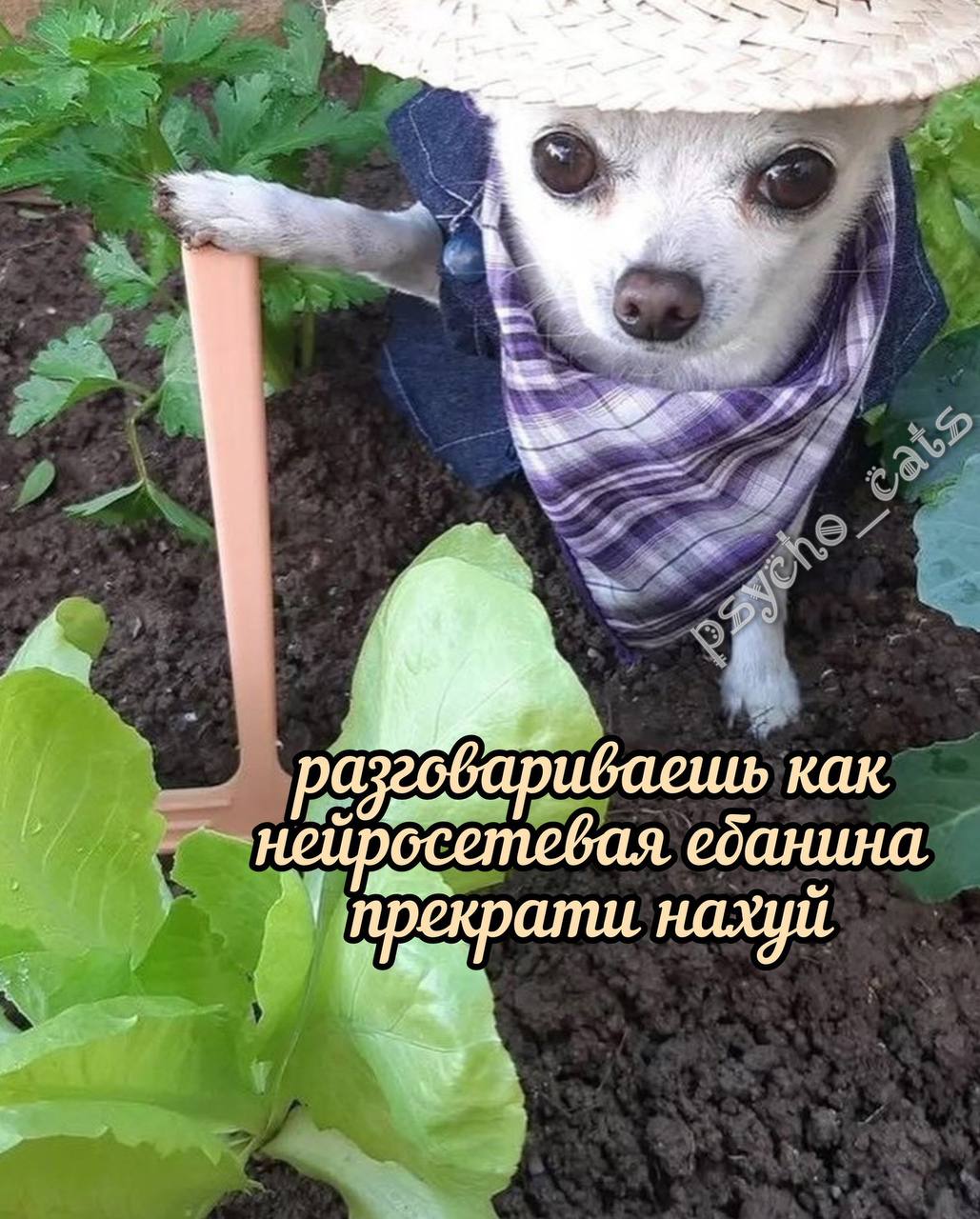 Говоря как нейросеть Чихуахуа в костюме фермера говорит, что кто-то разговаривает как нейросеть