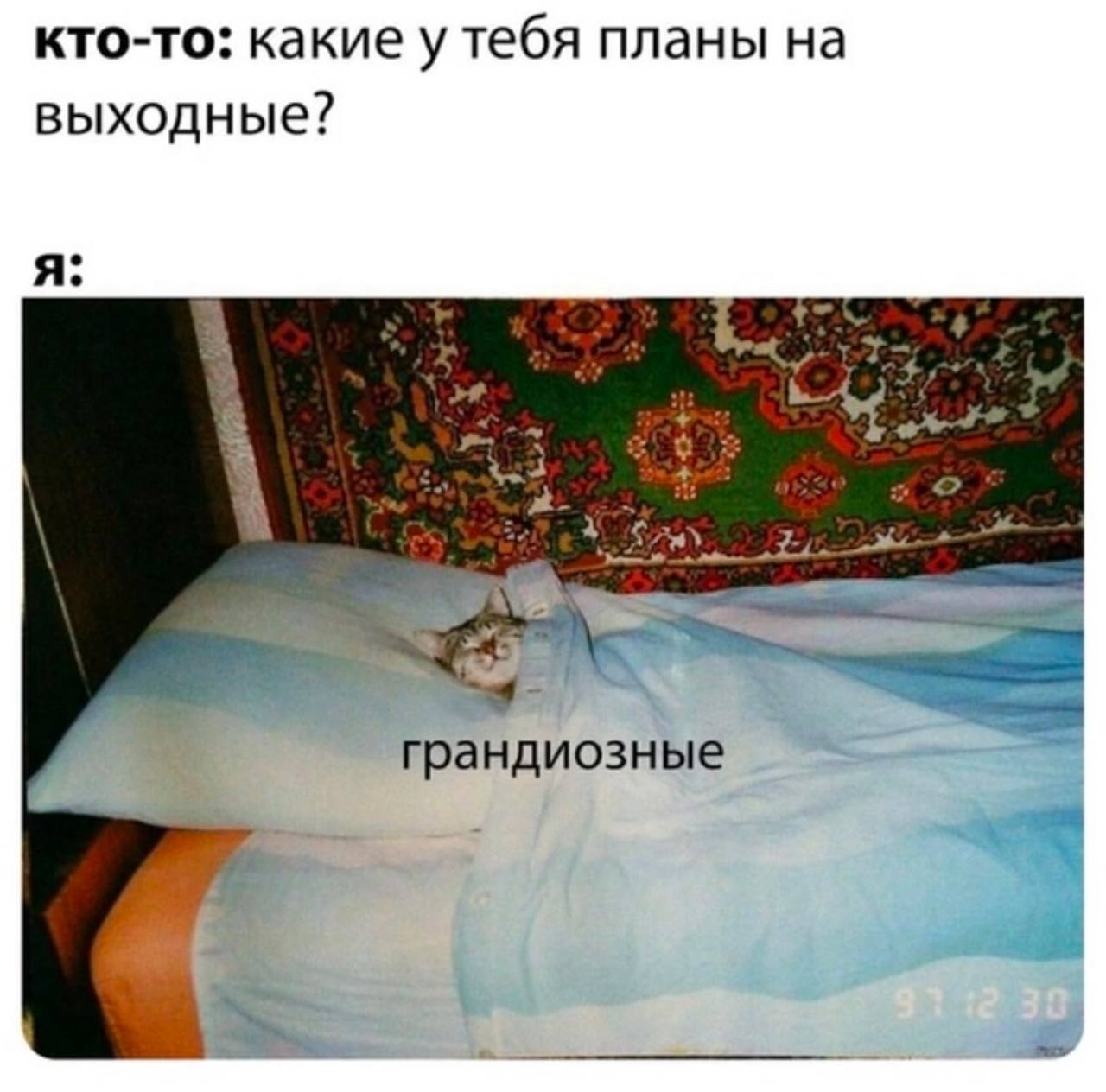 Грандиозные планы на выходные Кот спит под одеялом на подушке и говорит, что у него грандиозные планы на выходные