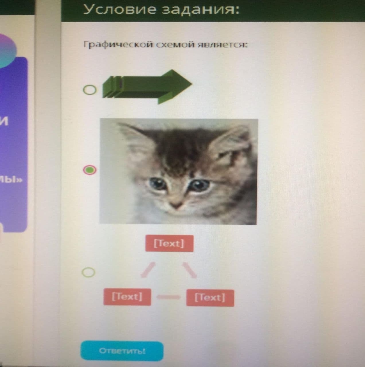 Графической схемой является котенок На экране теста по графическим схемам вместо варианта ответа изображен маленький котенок