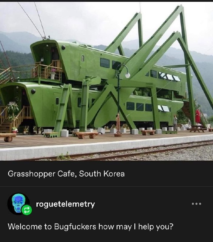Необычное кафе Grasshopper Cafe в Южной Корее, похожее на гигантского зелёного кузнечика, с шуточной подписью про Bugfuckers
