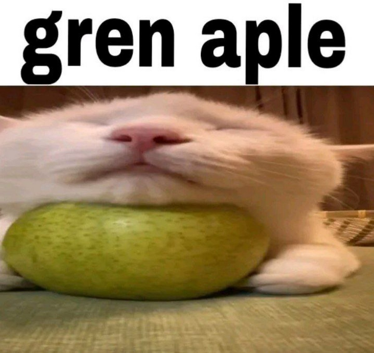 gren aple кот Белый кот лежит на зелёном яблоке