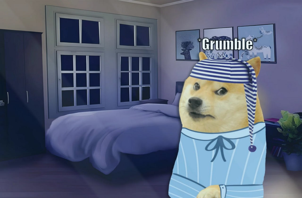 Doge в пижаме Доге в пижаме недовольно ворчит в спальне