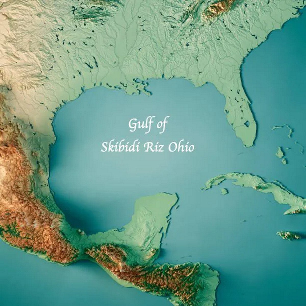 Gulf of Skibidi Riz Ohio Мексиканский залив с надписью «Gulf of Skibidi Riz Ohio»