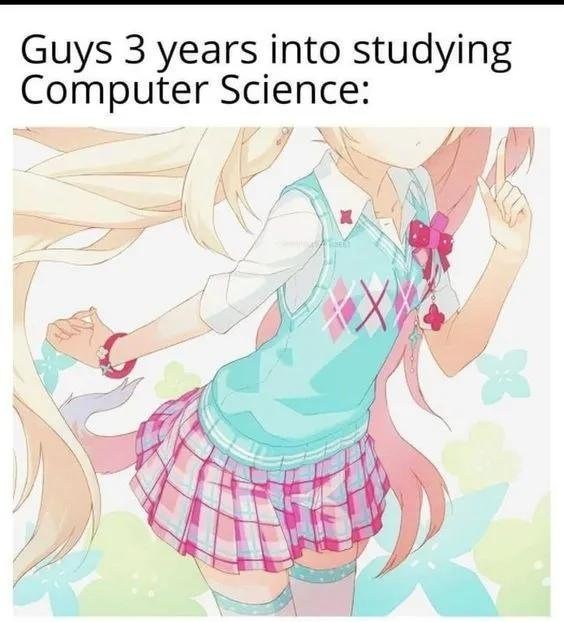 Аниме-девушка и подпись «Guys 3 years into studying Computer Science» — шутка о студентах после трёх лет изучения компьютерных наук.