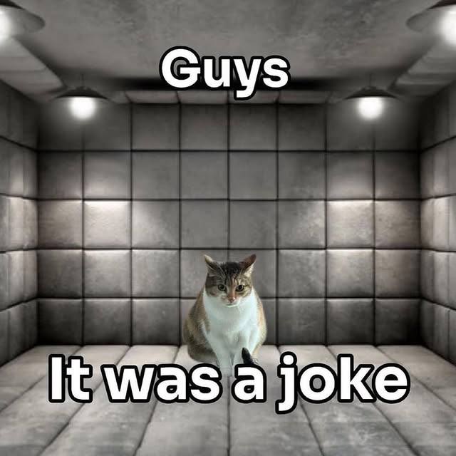 Guys it was a joke Мем с котом в мягкой палате и текстом «Guys, it was a joke»