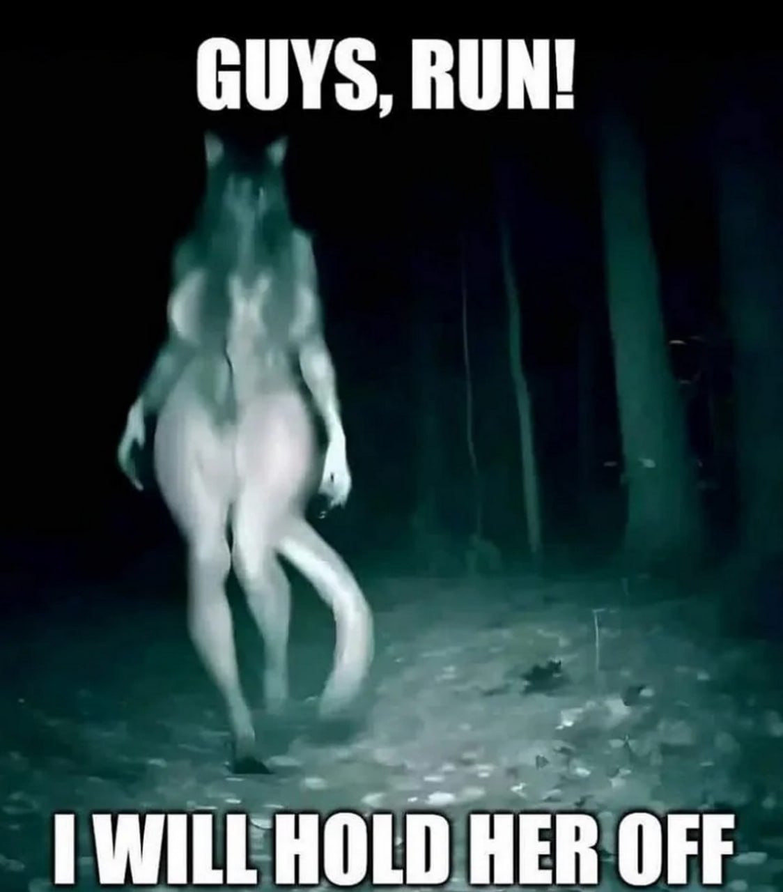 Guys, run! I will hold her off Мем с жутким существом и надписью "Guys, run! I will hold her off"