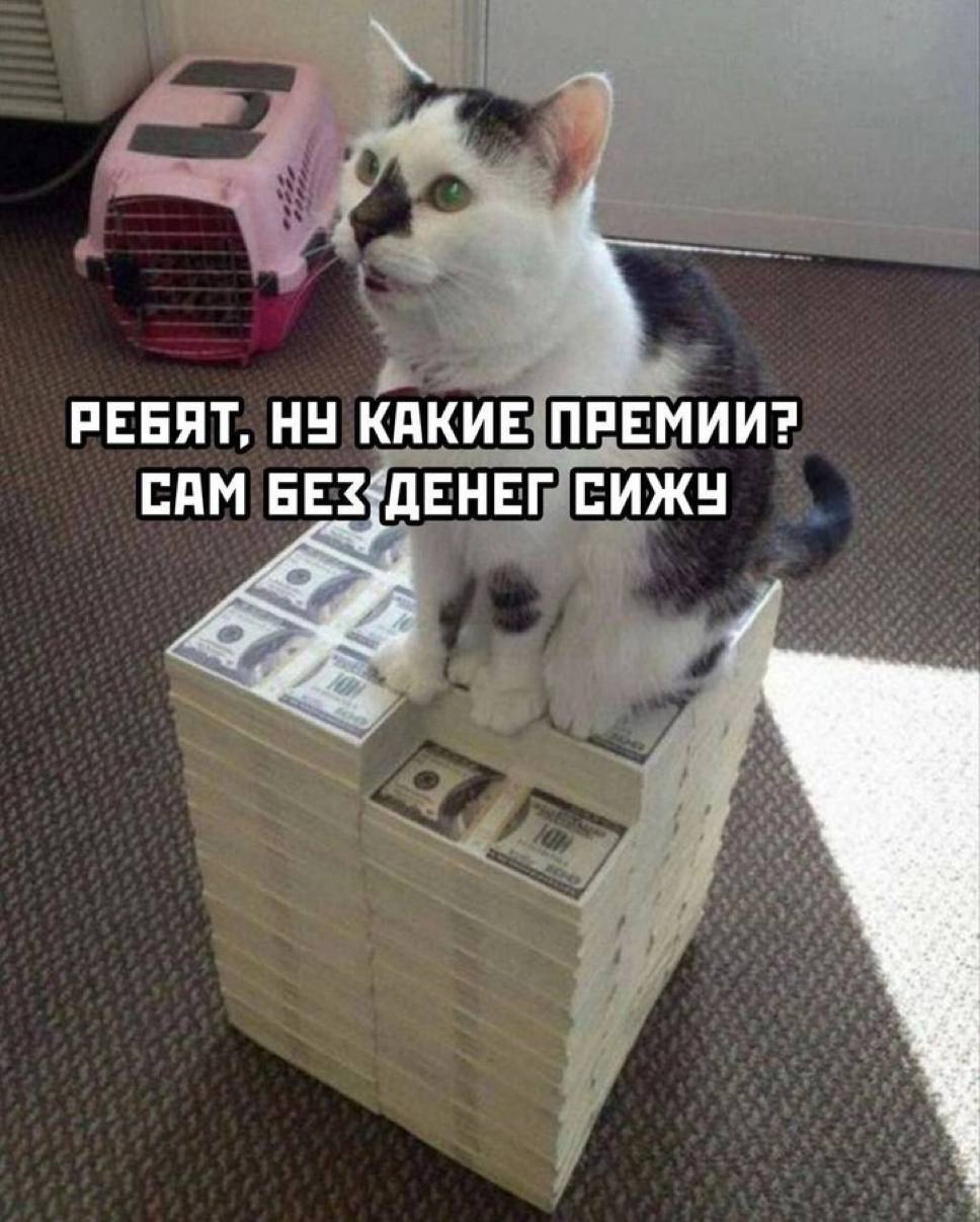 Ребят, ну какие премии? Сам без денег сижу Кот на деньгах говорит "Ребят, ну какие премии? Сам без денег сижу"