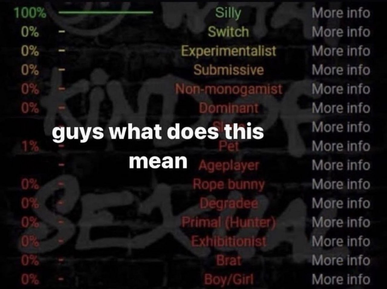 Guys what does this mean 100% Silly Мем, где кто-то спрашивает, что значит 100% Silly в списке из различных терминов