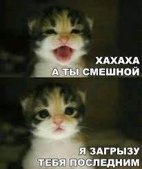 Хахаха а ты смешной я загрызу тебя последним Мем про котёнка "Ха-ха-ха, а ты смешной, я загрызу тебя последним"