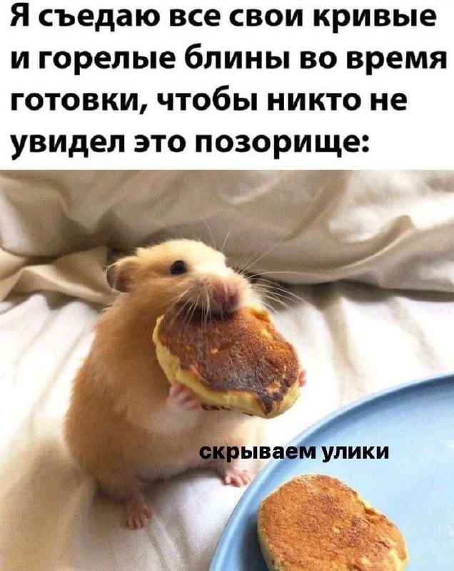 Я съедаю все свои кривые и горелые блины Хомяк, поедающий неудачные блины, чтобы скрыть "улики" готовки.