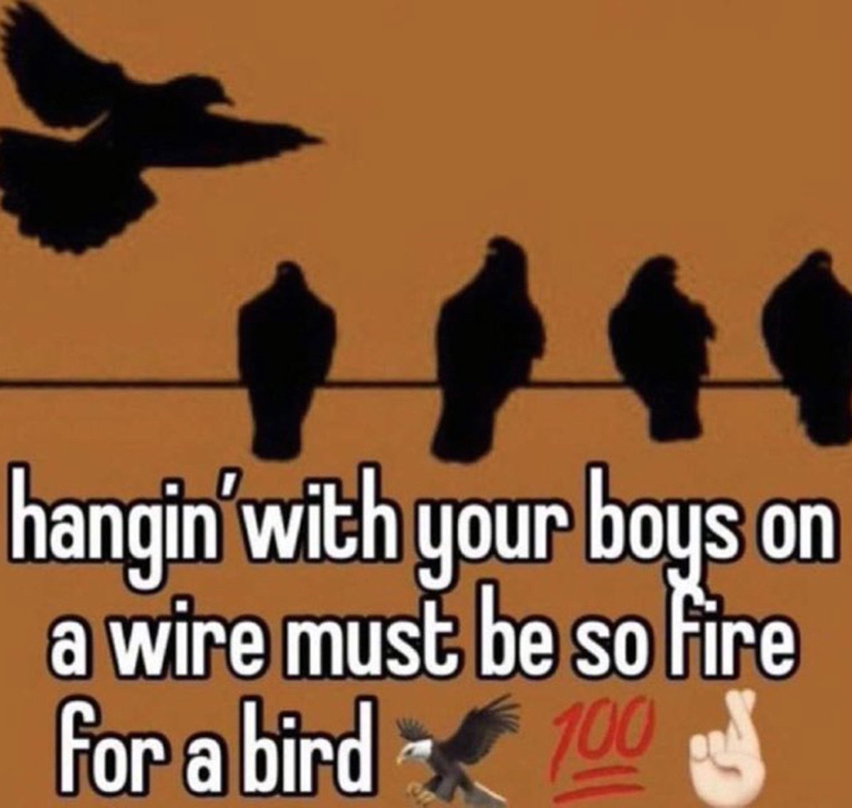 Hangin’ with your boys on a wire must be so fire for a bird Силуэты птиц на проводе с надписью: «Тусоваться с парнями на проводе должно быть так круто для птицы»