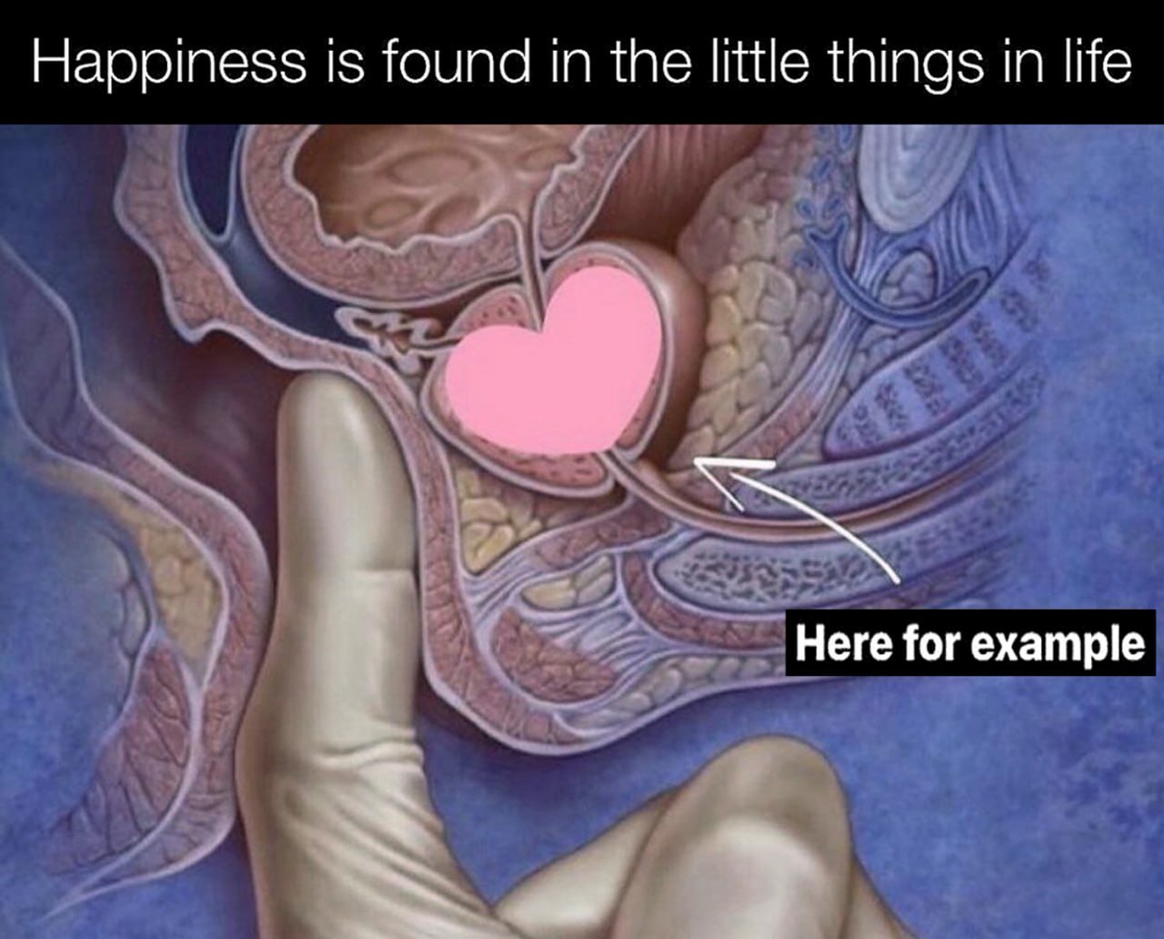 Happiness is found in the little things in life Мем "Happiness is found in the little things in life" с рукой в перчатке и сердцем в предстательной железе
