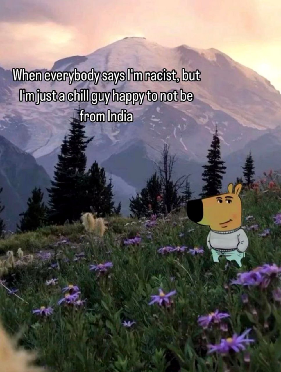 When everybody says I'm racist, but I'm just a chill guy happy to not be from India Мем про расслабленного парня, который рад не быть из Индии, на фоне гор и цветов