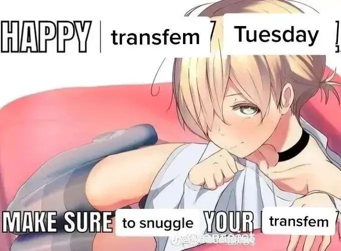 Счастливого трансфемного вторника! Обязательно обними свою трансфем