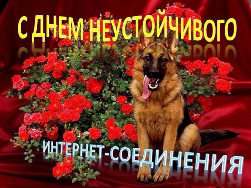 Мем с немецкой овчаркой и розами поздравляет с днем неустойчивого интернет-соединения