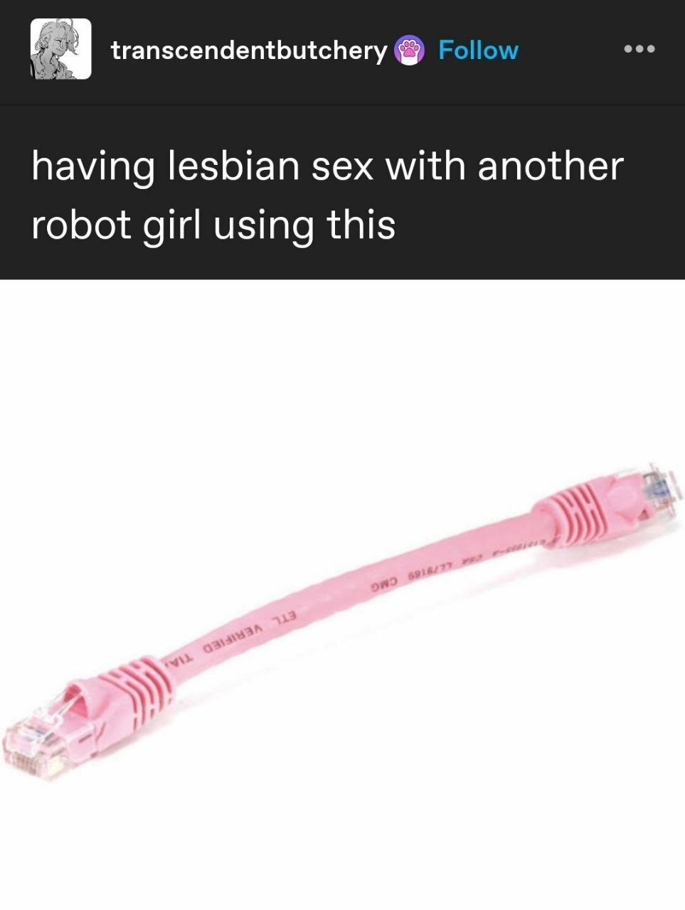 Скриншот поста с надписью «having lesbian sex with another robot girl using this» и розовым Ethernet-кабелем.
