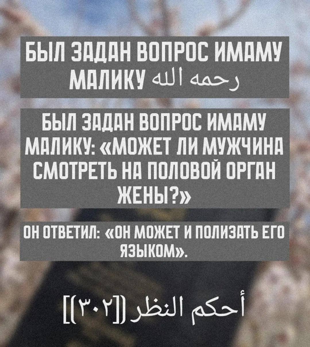 Провокационная шутка про ответ имама Малика на вопрос о том, может ли мужчина смотреть на половой орган жены.