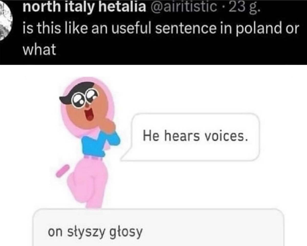 Он слышит голоса Duolingo Мем про Duolingo и фразу «He hears voices» на польском языке, которая кажется бесполезной для изучения.