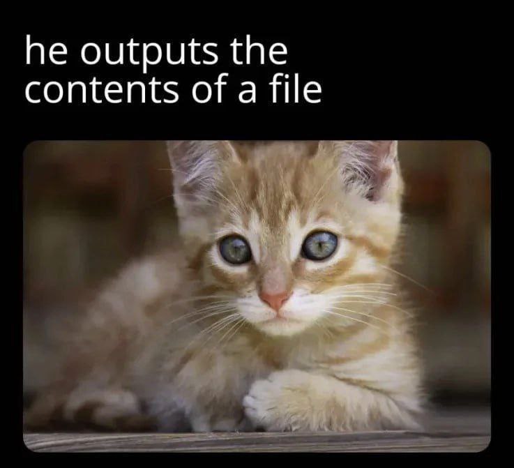 He outputs the contents of a file Котёнок выводит содержимое файла