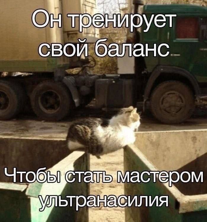 Он тренирует свой баланс, чтобы стать мастером ультранасилия Кот тренирует свой баланс на краю мусорного бака на фоне грузовика, чтобы стать мастером ультранасилия