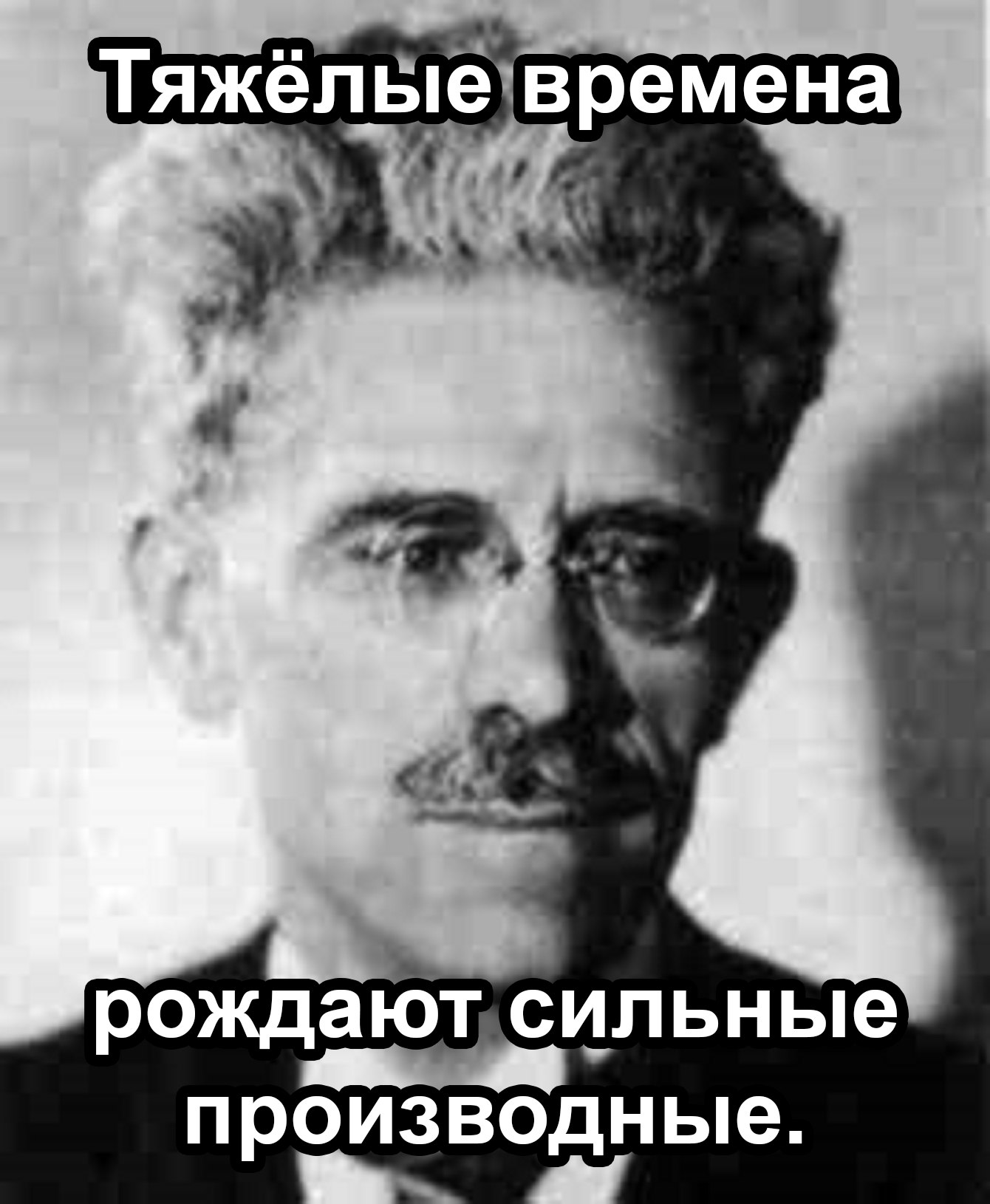 Тяжёлые времена рождают сильные производные Чёрно-белый портрет математика с подписью: «Тяжёлые времена рождают сильные производные»