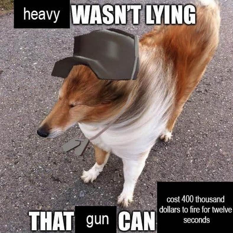 Heavy wasn't lying that gun can Щенок колли в шапке Хеви из Team Fortress 2 и надписью про цену стрельбы из его пушки