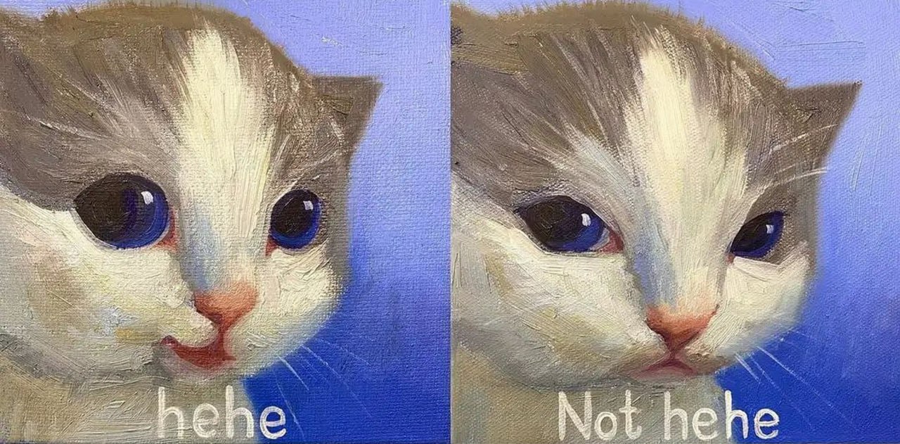 Hehe Not hehe Кот Hehe Not Hehe