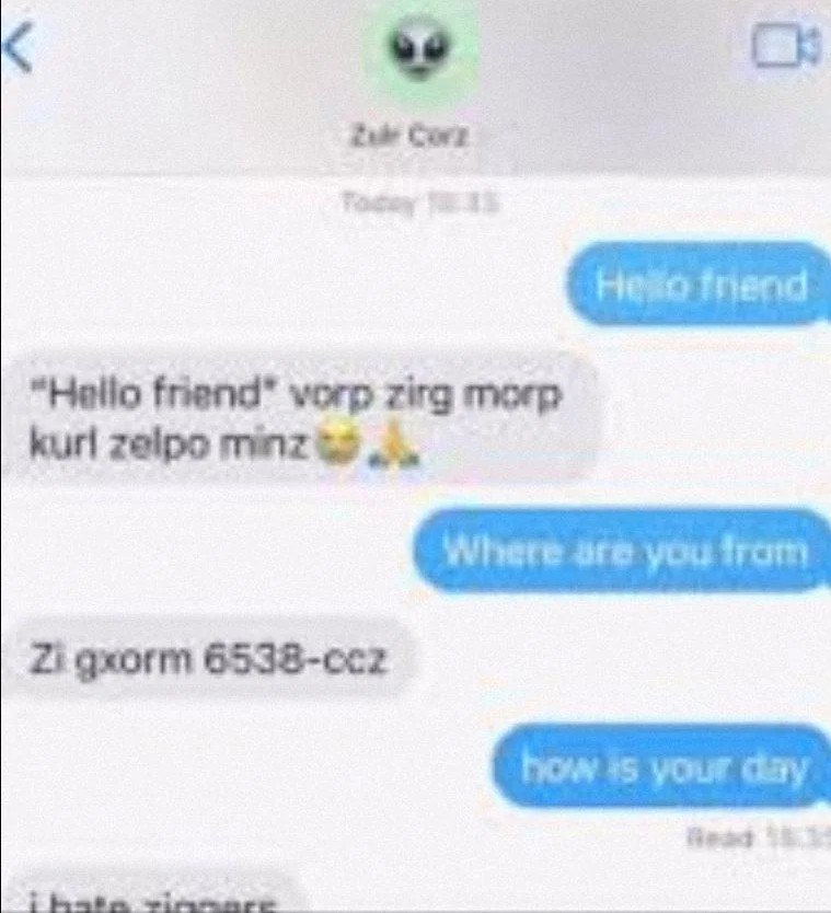 Мем Hello friend vorp zirg morp Скриншот переписки, где инопланетянин говорит на непонятном языке, отвечающий на "Hello friend" словами "vorp zirg morp kurl zelpo minz"