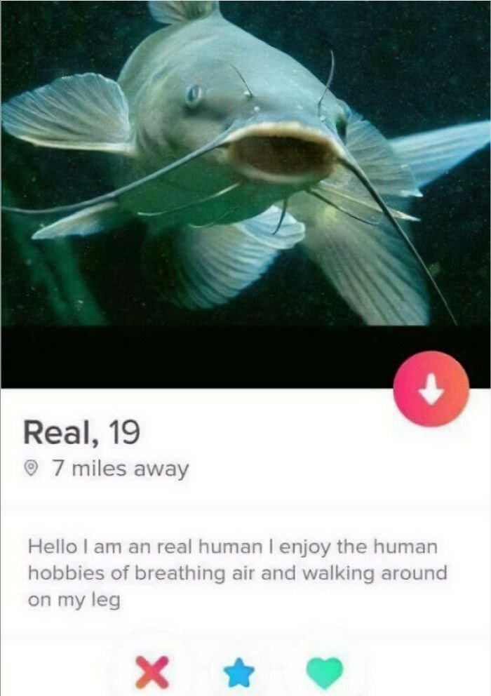 Hello I am an real human, I enjoy the human hobbies of breathing air Hello I am an real human, I enjoy the human hobbies of breathing air and walking around on my leg