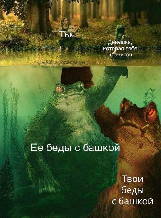 Ее беды с башкой, твои беды с башкой Мем с мужчиной и девушкой на берегу реки, под которыми скрываются гигантские жабы — ее и твои беды с башкой.