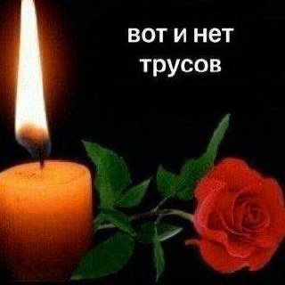 Вот и нет трусов Свеча и роза с надписью «Вот и нет трусов»